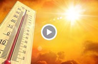 Средната температура в България се е повишила с близо градус за 30 години