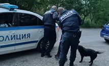 Задържаха шестима души при полицейска операция в Перник