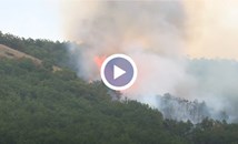 Македонски пожарникари гасят пожар на границата с България