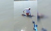 Мъж улови 50-килограмов сом на язовир "Тича"