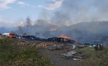 Пожар погълна над 200 кубика дървени трупи близо до Дом за възрастни хора в Кочериново
