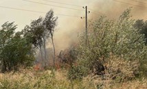 Голям пожар се разгоря в Карловско