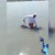 Мъж улови 50-килограмов сом на язовир "Тича"