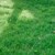 Косенето на тревни площи в Русе продължава и през тази седмица