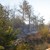 Огнеборци дежурят в гората над квартал „Средна кула“