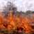 Голям пожар избухна край Бургас
