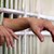 Русенец влиза в затвора за кражба на 3 кубика дърва