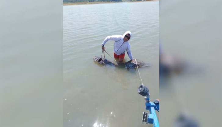 Рибата е върната обратно във водата