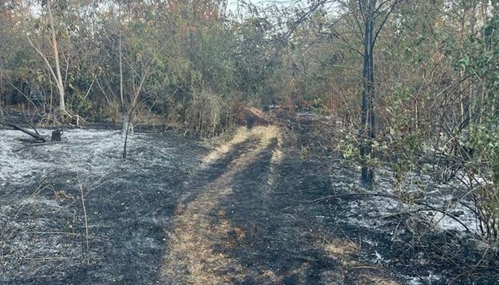 Драгомир Драганов свиква среща поради повишената опасност от пожари в Русенско