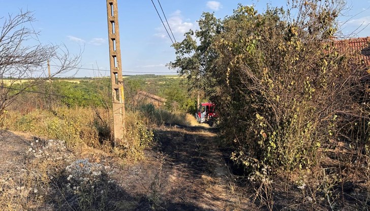 Тридневният пожар в местността „Трите гълъба“ нанесе сериозни щети на горския фонд в района