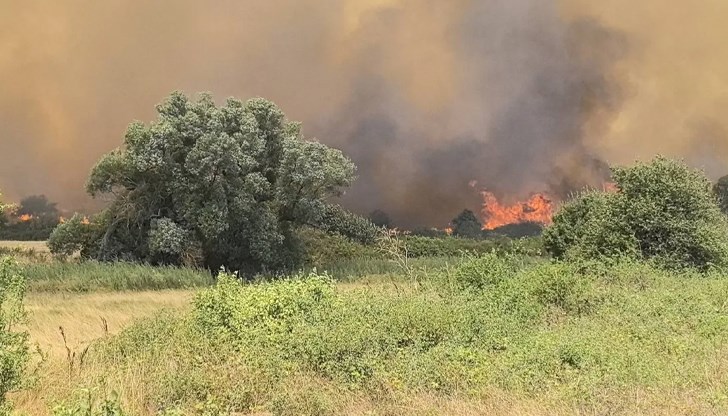 Огънят в село Воден отново пламна заради ветровете