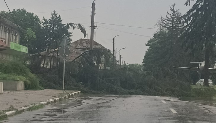 Павликенско и околностите са под ударите на стихията