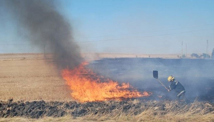 Пожарът се е бил разпрострял на площ около 2 декара