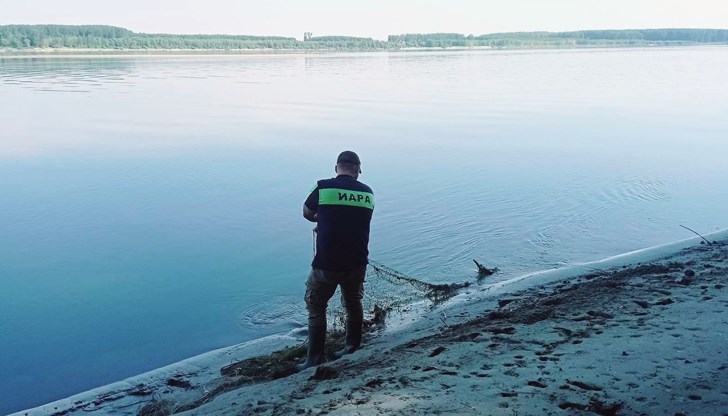 Немаркирани мрежи бяха унищожени, а рибата върната във водата по време на проверки край остров "Батин" и село Кривина