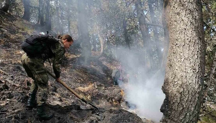 Сухопътните войски оказват помощ в гасенето на огъня край село Голешово