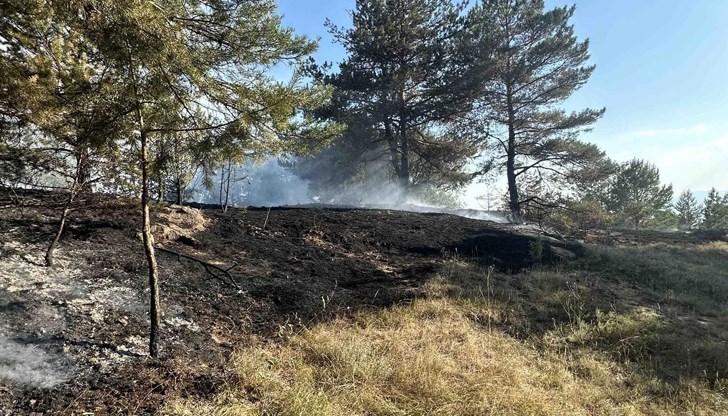 В гасенето на пожара се включиха над сто доброволци