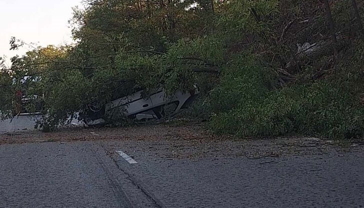 Пробата за алкохол на катастрофиралия мъж е отрицателна