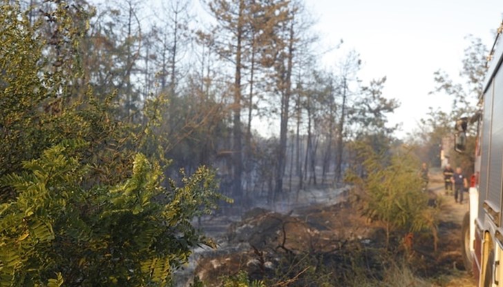 Пожар е избухнал в района на село Мечка