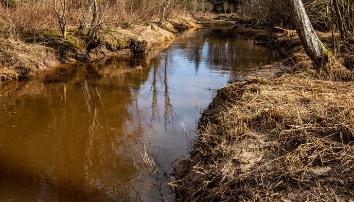 Екоинспектори взеха водни проби за физико-химичен анализ