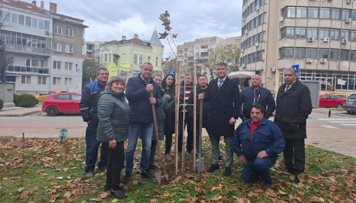 Мястото за засаждане на дърветата е определено от Община Русе