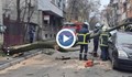 Огромно дърво рухна върху паркирани коли в центъра на Русе