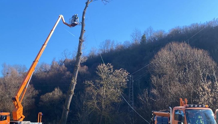 Дърветата са застрашавали електрозахранването на община Две могили