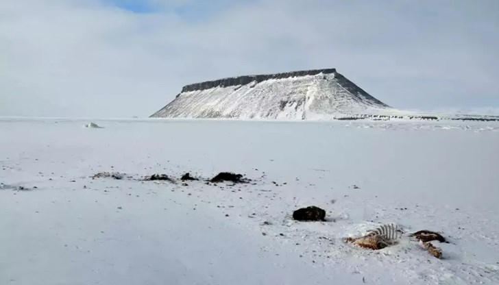 Изоставената база свидетелства за напрегнатата епоха на Студената война