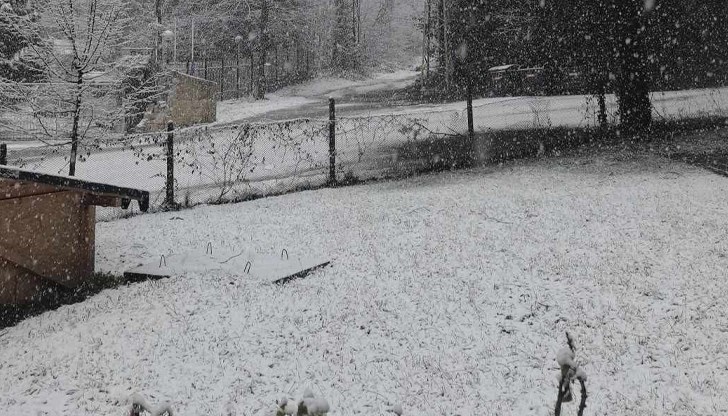 Зимната магия превзе Троянския балкан Зимната магия превзе Троянския балкан