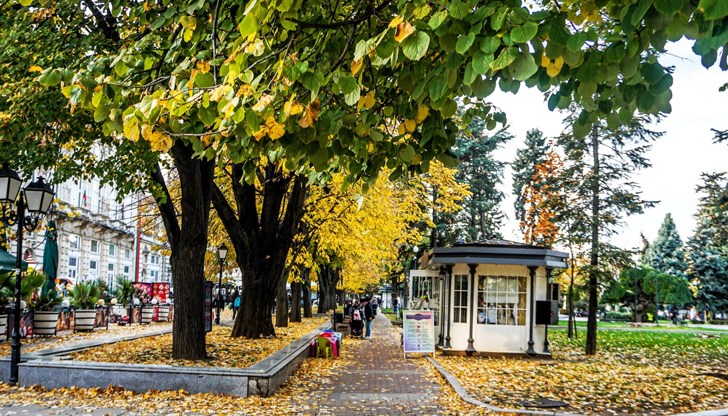 Нови правила за разполагане на маси и столове