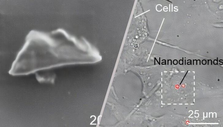 Иновативната технология може да промени ранната диагностика на рака и да революционизира енергийната ефективност Иновативната технология може да промени ранната диагностика на рака и да революционизира енергийната ефективност