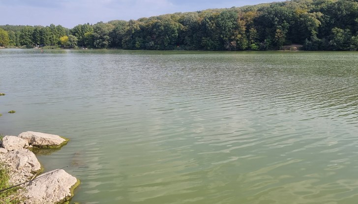 Драгомир Драганов: Русенско е защитено от воден режим Драгомир Драганов: Русенско е защитено от воден режим