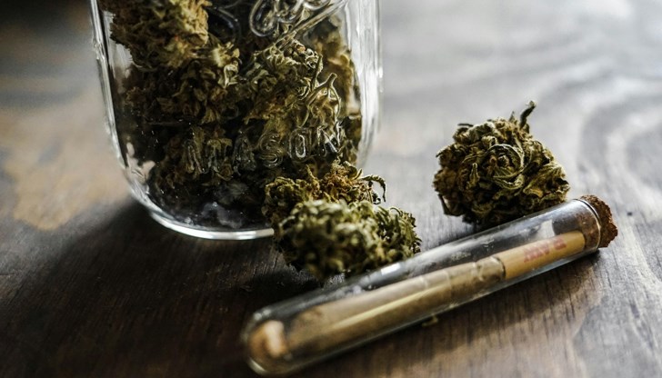 Възрастната жена съхранявала марихуана в дома си Възрастната жена съхранявала марихуана в дома си