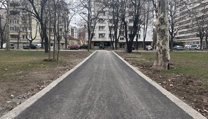 Активен ремонт на алейната мрежа в най-големия парк на Русе Активен ремонт на алейната мрежа в най-големия парк на Русе