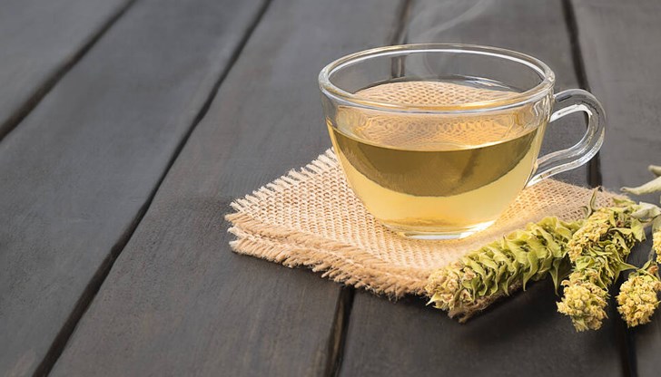 Екоминистерството въвежда рестрикции за билкосъбиране Екоминистерството въвежда рестрикции за билкосъбиране