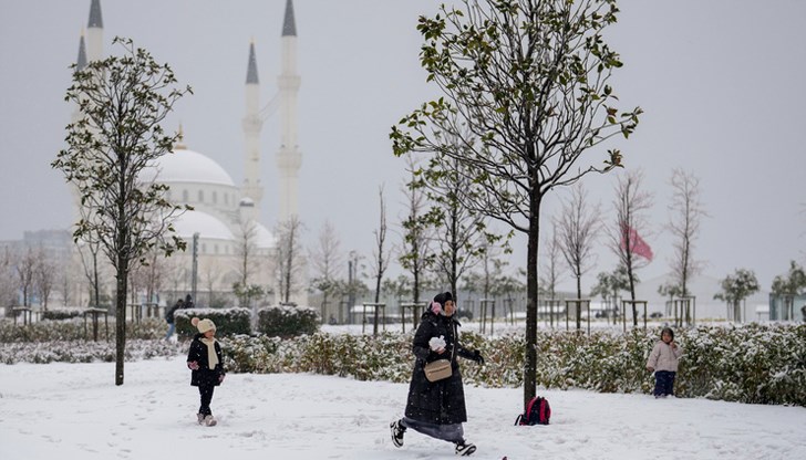 Затвориха Босфора, летищата отмениха 40% от полетите Затвориха Босфора, летищата отмениха 40% от полетите