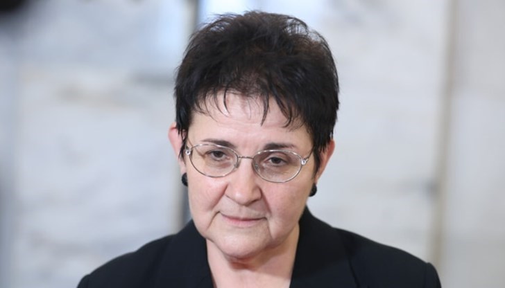 Бившият финансов министър Людмила Петкова пое Агенцията за държавна финансова инспекция Бившият финансов министър Людмила Петкова пое Агенцията за държавна финансова инспекция