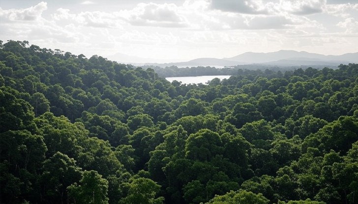 Космическият апарат Biomass ще измерва въглеродния отпечатък на горите Космическият апарат Biomass ще измерва въглеродния отпечатък на горите