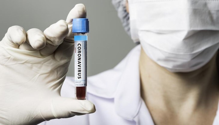 Нов вирус при прилепи използва същия рецептор като Ковид-19 Нов вирус при прилепи използва същия рецептор като Ковид-19