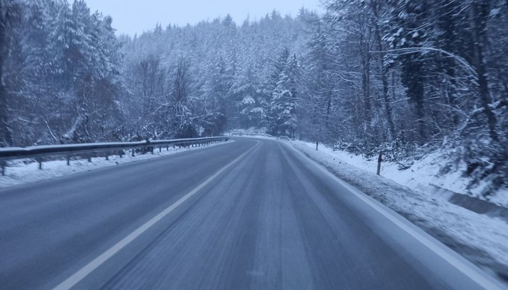 Автомобилите от катастрофата на пътя Русе - Бяла се намират край пътното платно, уточниха от Областната управа Автомобилите от катастрофата на пътя Русе - Бяла се намират край пътното платно, уточниха от Областната управа
