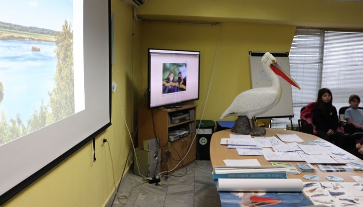 Русенски ученици се запознаха с птичето богатство край Дунав Русенски ученици се запознаха с птичето богатство край Дунав