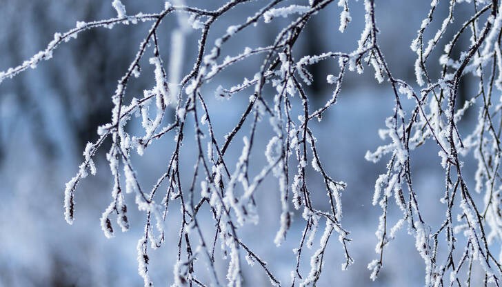 Метеоролозите прогнозират екстремно ниски температури Метеоролозите прогнозират екстремно ниски температури