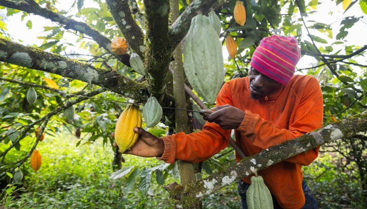 При такава концентрация на предлагане лошото време в един регион може да бъде достатъчно, за да извади от равновесие целия глобален пазар При такава концентрация на предлагане лошото време в един регион може да бъде достатъчно, за да извади от равновесие целия глобален пазар