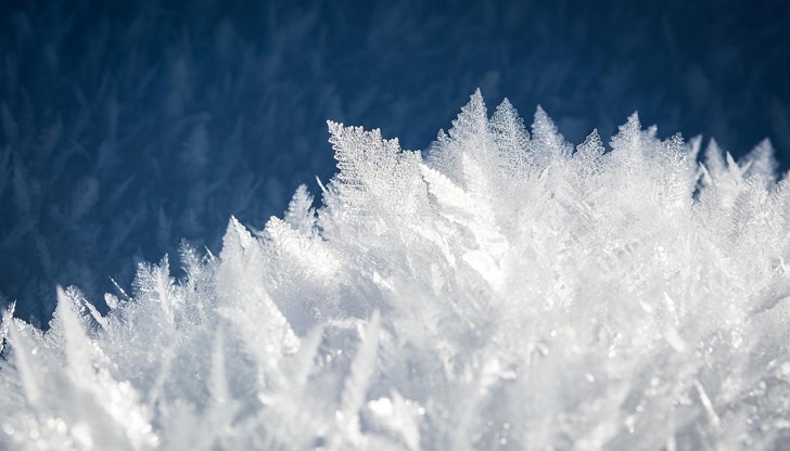 Ледените дни през февруари поставиха на изпитание земеделските култури Ледените дни през февруари поставиха на изпитание земеделските култури