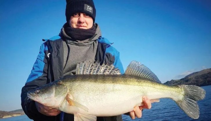 Сомове, кефали и пъстърви радват риболовците в края на февруари Сомове, кефали и пъстърви радват риболовците в края на февруари