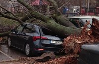 Дърво рухна върху хора и автомобили в Русе