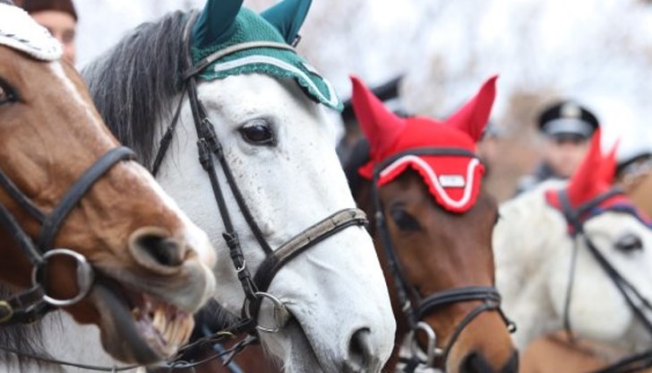 Конните полицаи ще демонстрират умения на площада в квартал "Бенковски" на 8 март Конните полицаи ще демонстрират умения на площада в квартал "Бенковски" на 8 март