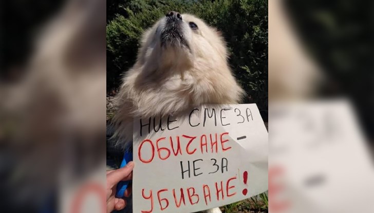 Духовният водач на Русенската епархия се присъедини към гражданската позиция след поредица от жестоки случаи в страната Духовният водач на Русенската епархия се присъедини към гражданската позиция след поредица от жестоки случаи в страната