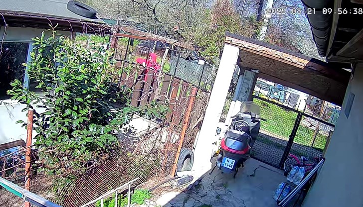 Младежът е напуснал семейния дом на 21 март и оттогава не се е прибирал Младежът е напуснал семейния дом на 21 март и оттогава не се е прибирал