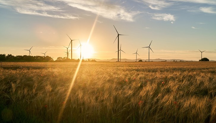 Възобновяемите източници свалиха цената на тока до минус 111 долара в Полша Възобновяемите източници свалиха цената на тока до минус 111 долара в Полша