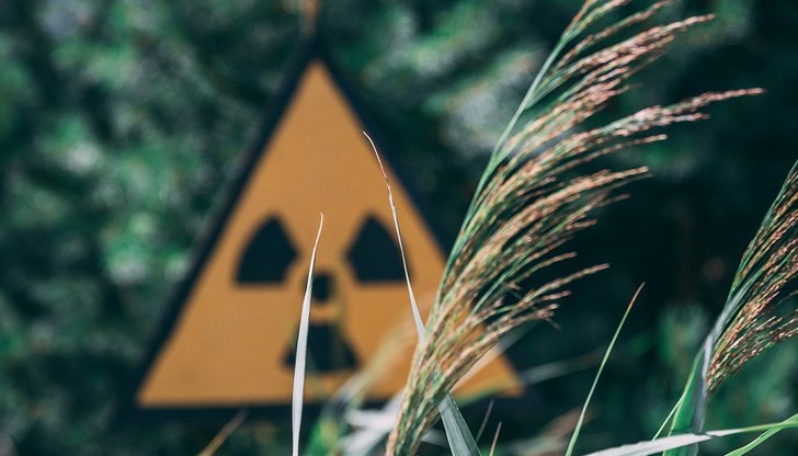 Природата намира начин да оцелее дори в най-замърсените райони на планетата Природата намира начин да оцелее дори в най-замърсените райони на планетата